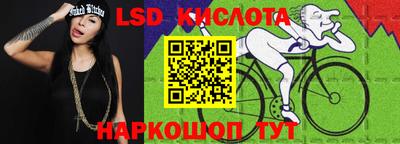 шишки Долгопрудный