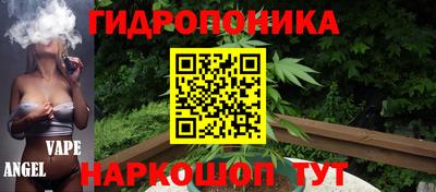 шишки Долгопрудный
