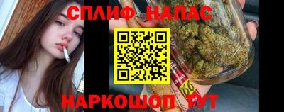 шишки Долгопрудный