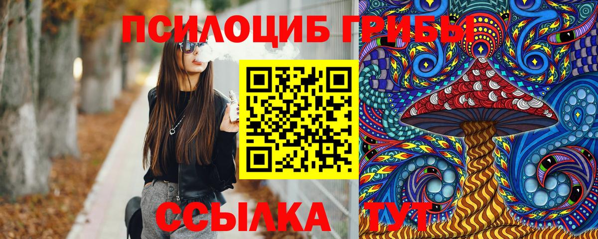 Псилоцибиновые грибы MAGIC MUSHROOMS  Вход с VPN  Ахтубинск 